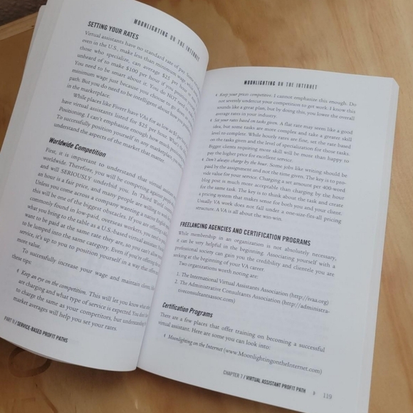 Moonlighting on the Internet Paperback Book Money Career Writing Online - Picture 6 of 7